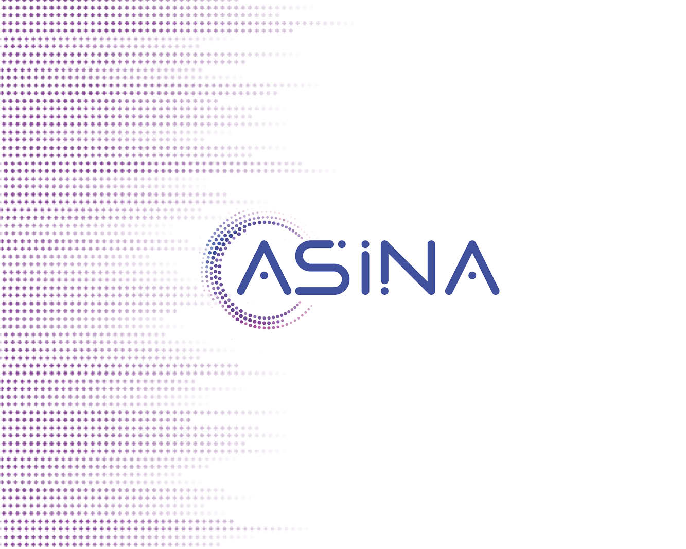 ASINA project