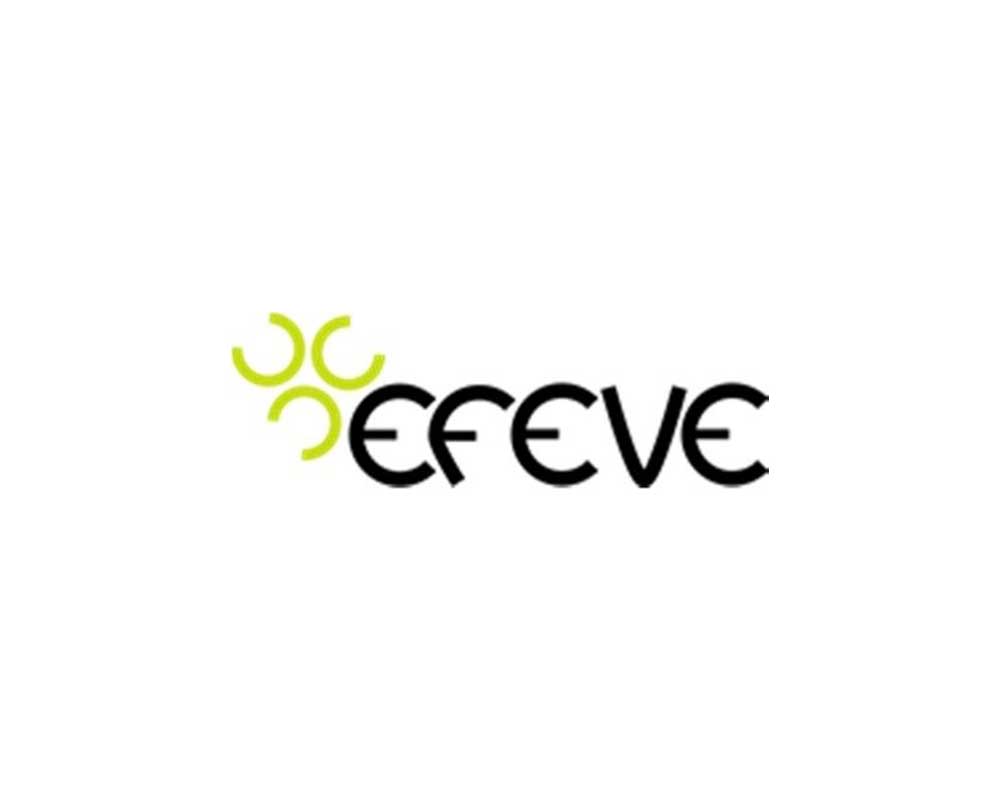 efeve project european funding division