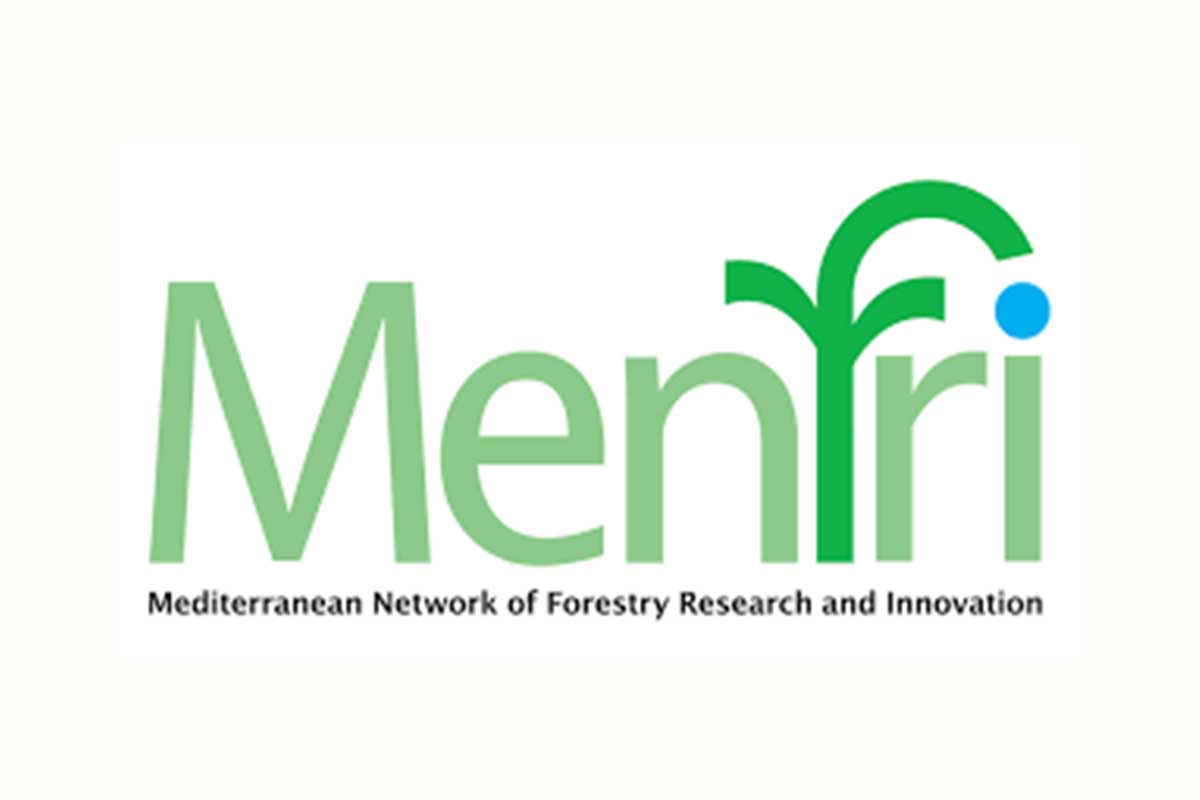 Menfri FP7 European Funding Division