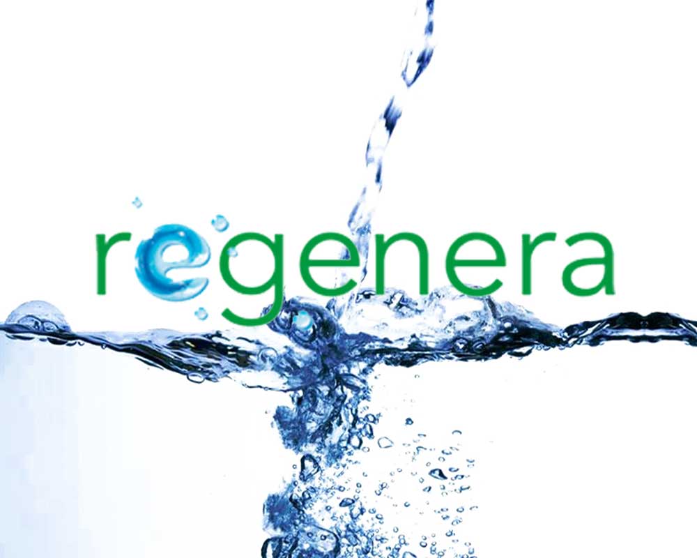 regenera European Funding Division