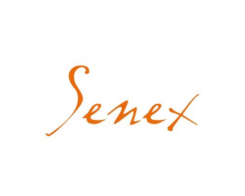 senex EFD European Funding Division
