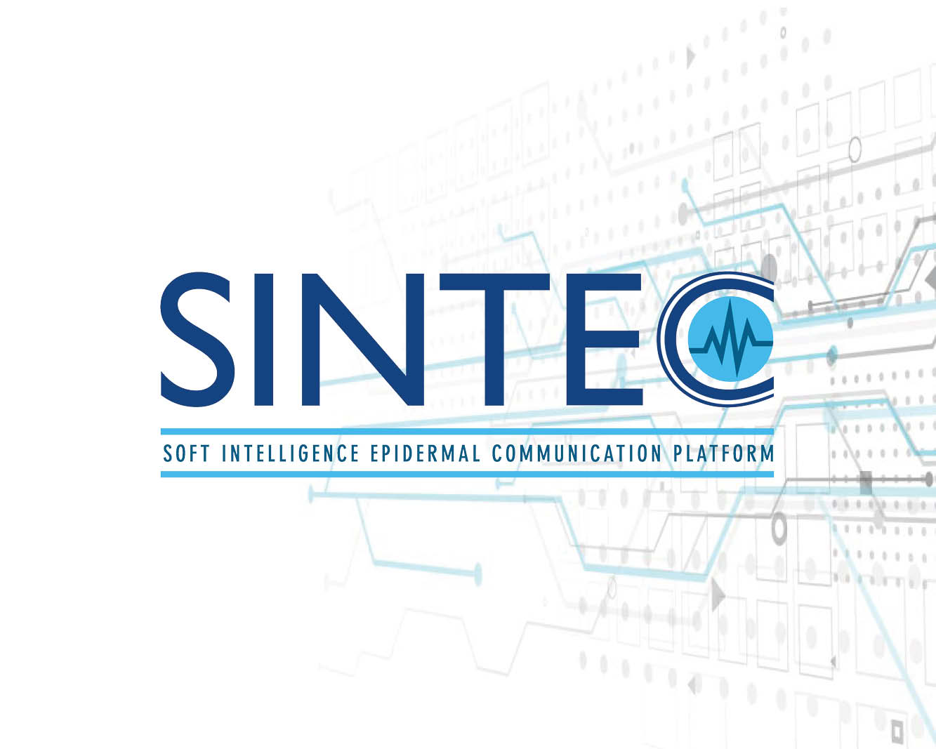 sintec project